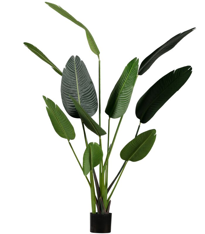 Strelitzia Kunstplant - Groen - 96x164x63 image number 0