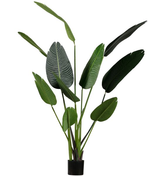 Plante Artificielle - Plastique - Vert - 164x96x63 - Strelitzia