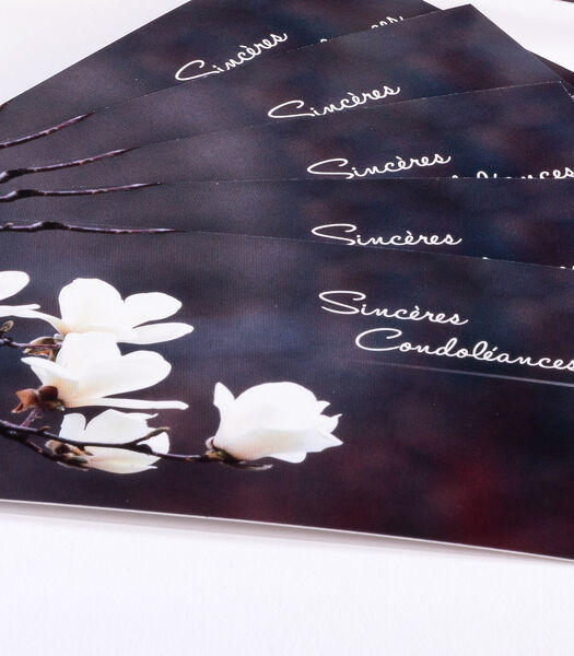 6 cartes simples avec orchidée - Sincères