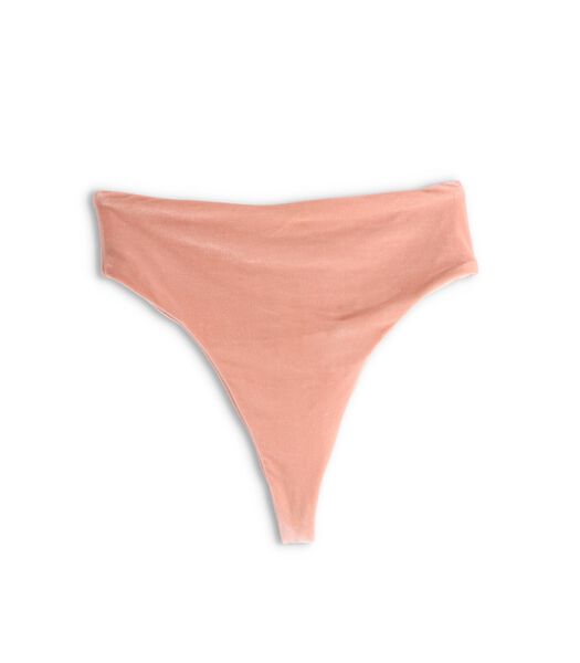 The Pentagon Velvet Pale Pink Bikinibroekje