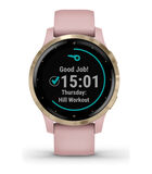 Vivoactive Smartwatch Roze 010-02172-32 image number 0