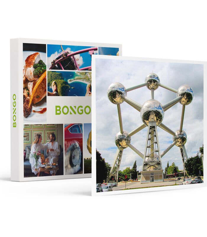 Visite en famille de l'Atomium de Bruxelles pour 2 adultes et 2 adolescents - Aventure image number 0