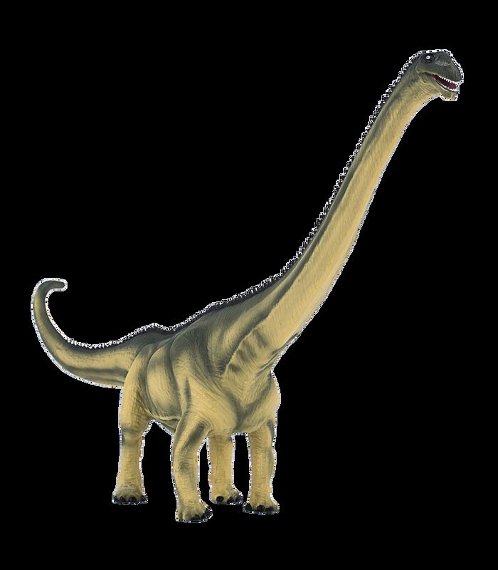 speelgoed dinosaurus Deluxe Mamenchisaurus - 387387 image number 5