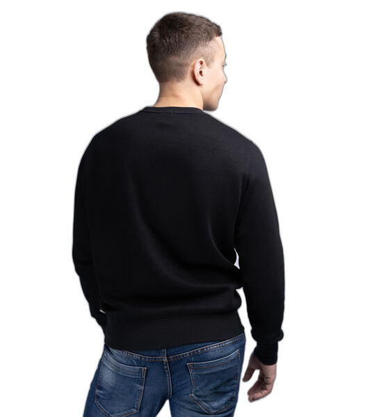 Sweater met ronde hals Kersbrook