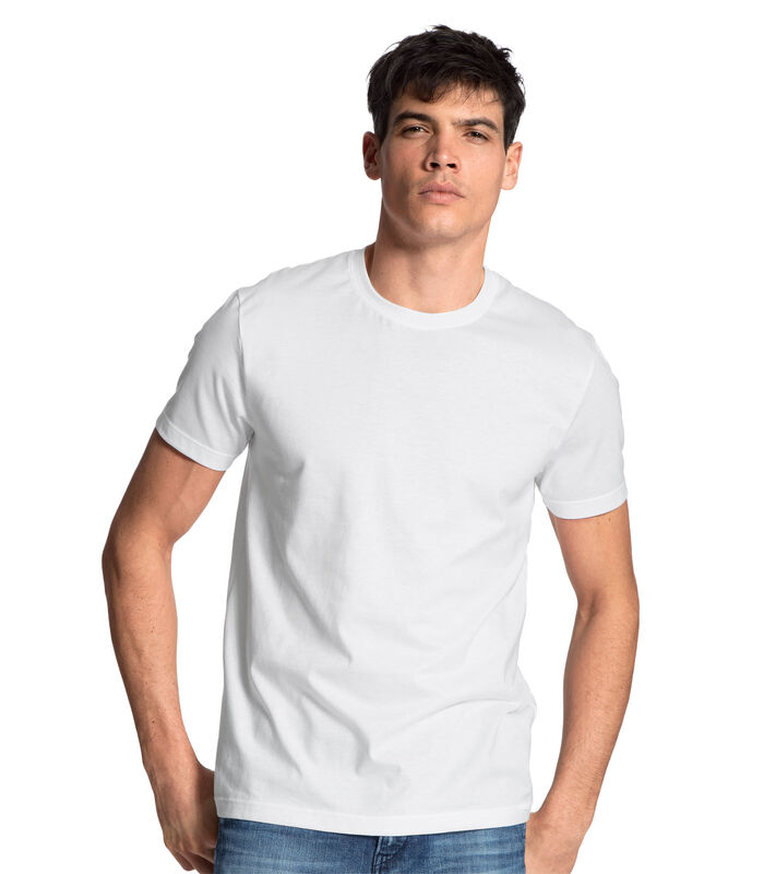 T-shirt MEN T-Shirt 2PACK Natural Benefit 100% cotton Set van 2 image number 1