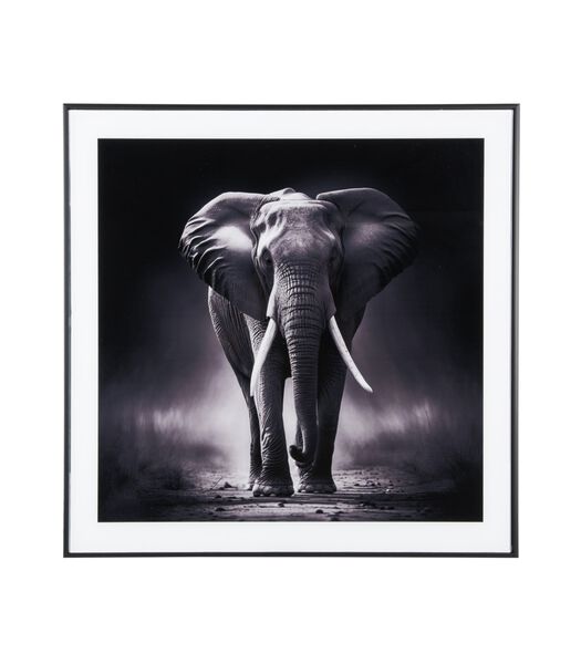 Wanddecoratie Elephant - Zwart - 2x50x50cm