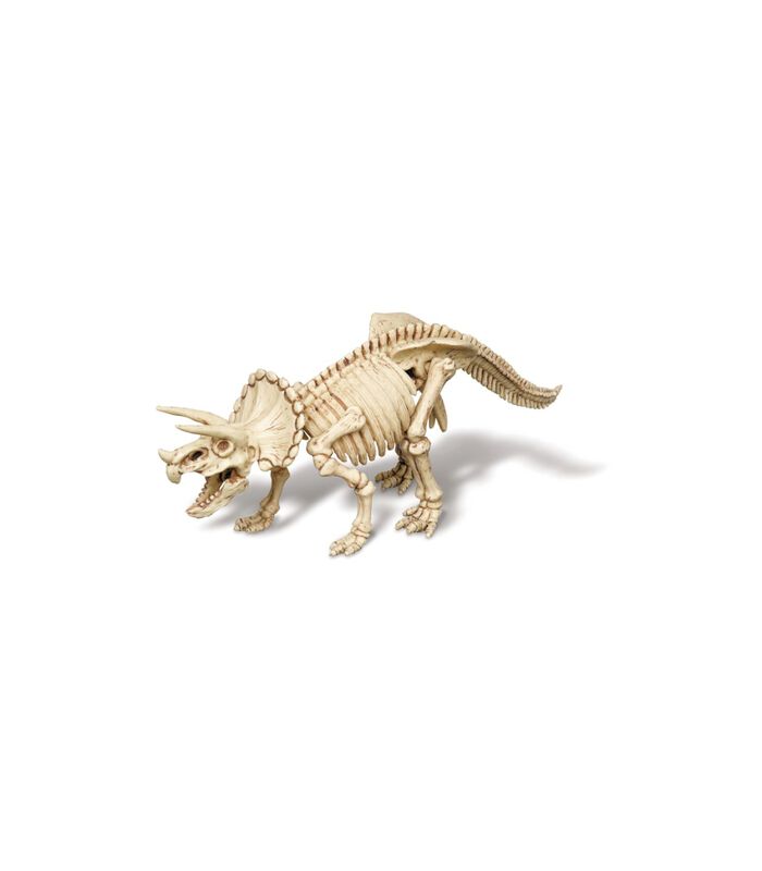 DAM  KidzLabs : GRAAF-JE-DINOSAURUS-OP (Triceratops), jeu de construction de squelettes dans un bloc de plâtre, boîte 17x22x6cm, 7+. image number 1
