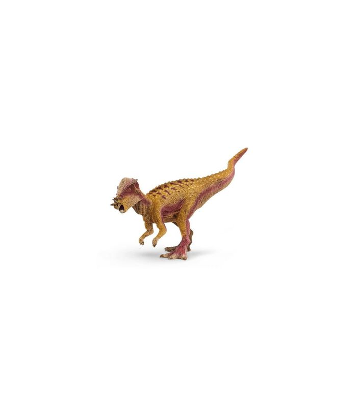 Dinosaure  - Pachycephalosaurus 15024 image number 0