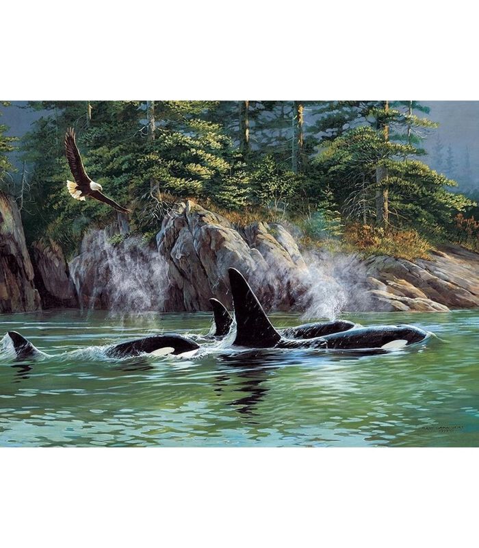Puzzle  Orcas - 1000 pièces image number 1