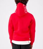 Incognito Hoodie Rood image number 2
