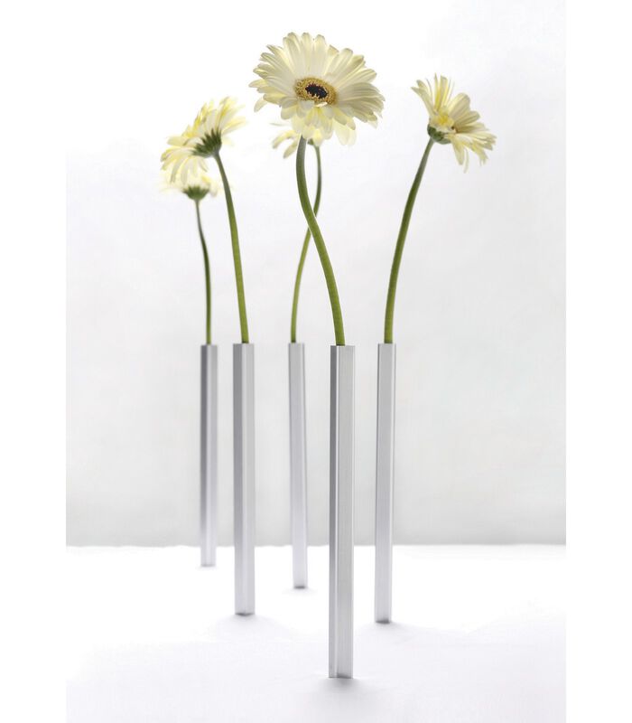 Magnetic vases - silver - set 5 pcs image number 0