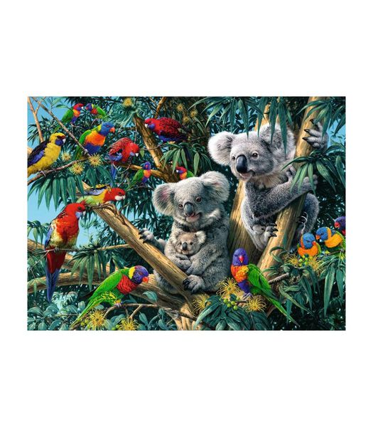 puzzel Koalas in de boom - 500 stukjes