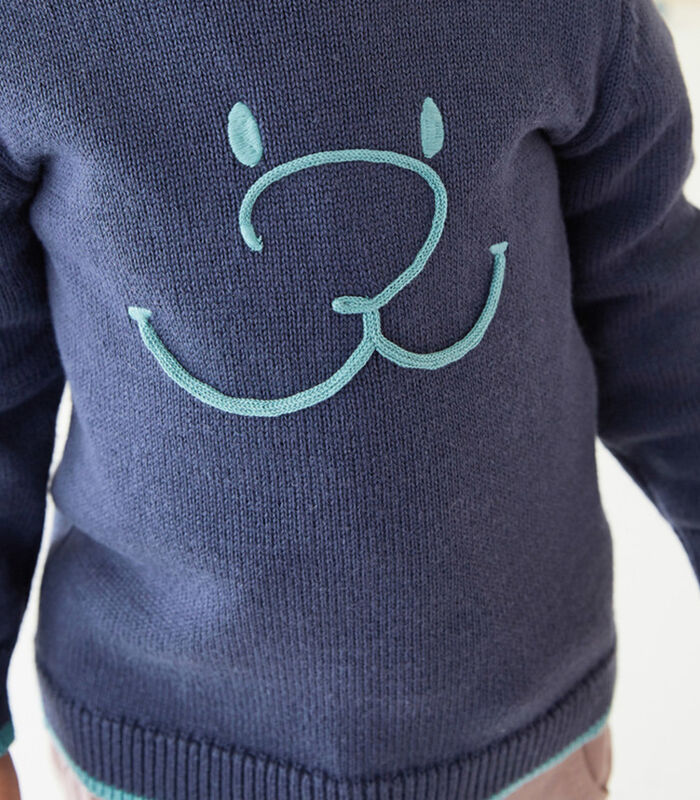 Pull tricot col rond smile image number 0