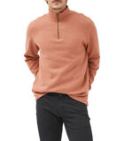 Sweatshirt en coton à col 1/4 zip Alton Ave image number 0