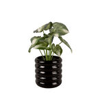 Pot de fleurs Bobbly Glazed - Noir - Ø22cm image number 2
