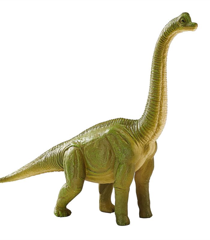 Toy Dinosaure Brachiosaurus vert - 387212 image number 1