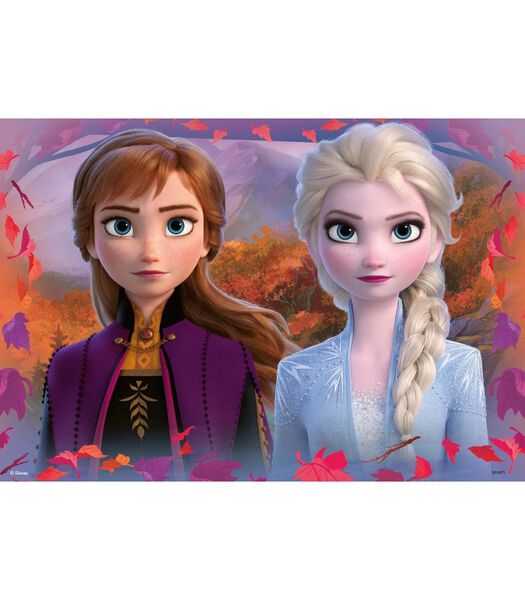 puzzle Frozen 2 2x12 pcs.