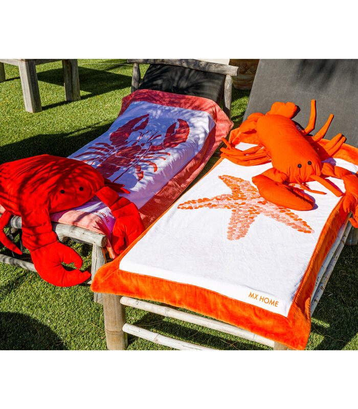 Coussin extérieur crabe rouge vif image number 2