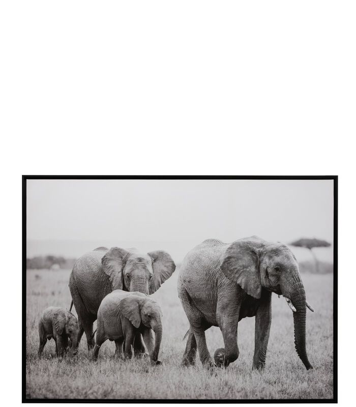 Cadre Elephant Bois/Papier Noir/Blanc image number 0