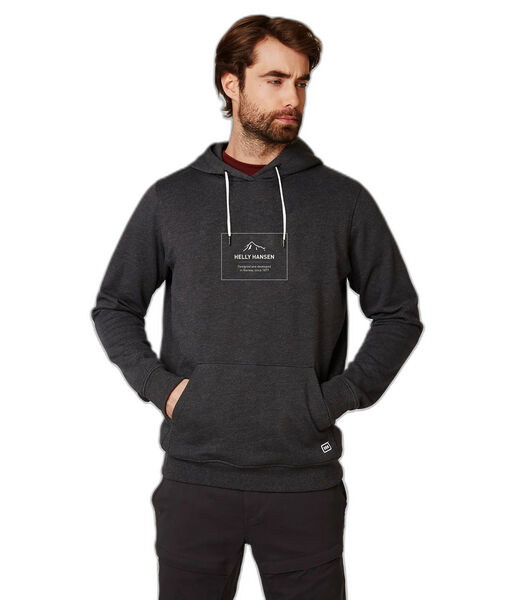 Sweatshirt à capuche coton F2F