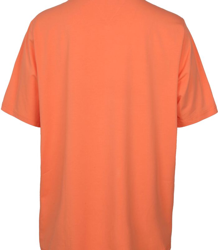 Big and Tall T-shirt Stretch Oranje image number 2