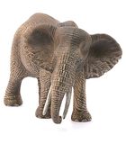 Safari - Éléphant d'Afrique, femelle 14761 image number 2