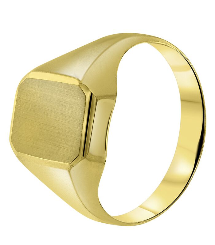 Ring 14 Karaat Goud - goudkleurig image number 0