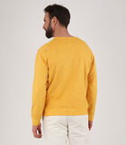 Bedrukte sweater met ronde hals O2SERIM image number 2