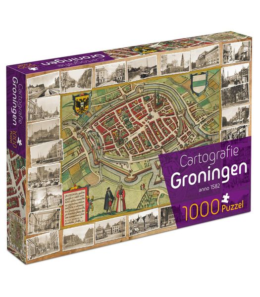 Cartografie Groningen (1000)