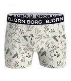Bjorn Borg Giftpack Boxers 5-Pack Groen image number 3