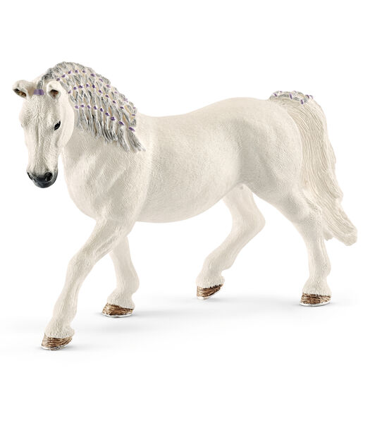 Paarden - Lipizzaner Merrie 13819