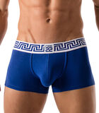 Boxer Blue Rome image number 0