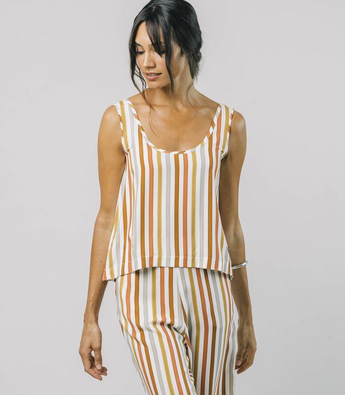 Earthy Stripes Top image number 0