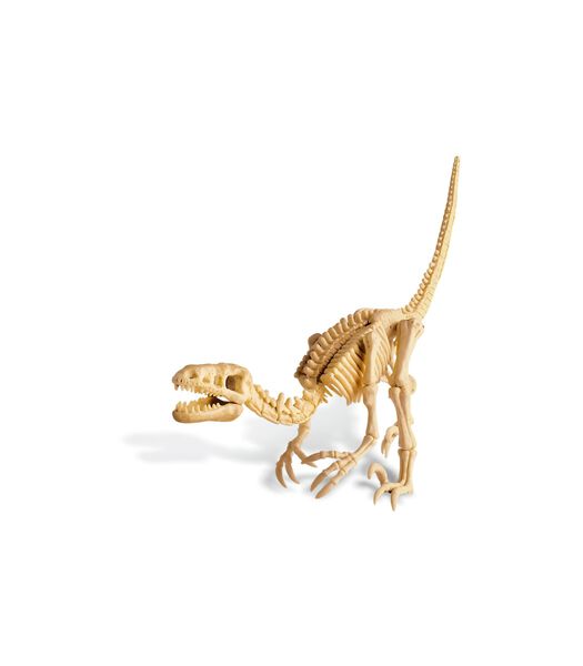 KidzLabs : GRAVE-YOU-DINOSAURUS-OP (Velociraptor), kit de construction de squelette dans un bloc de plâtre, boîte 17x22x6cm, 8+