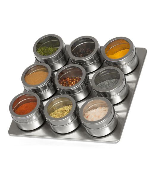 Pot à épices magnétique  - comprenant 9 pots - en acier inoxydable (RVS)
