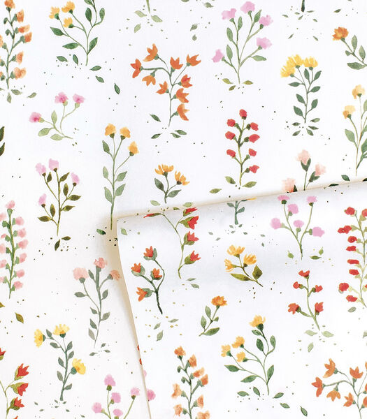 Papier peint herbier de fleurs Queyran, Lilipinso
