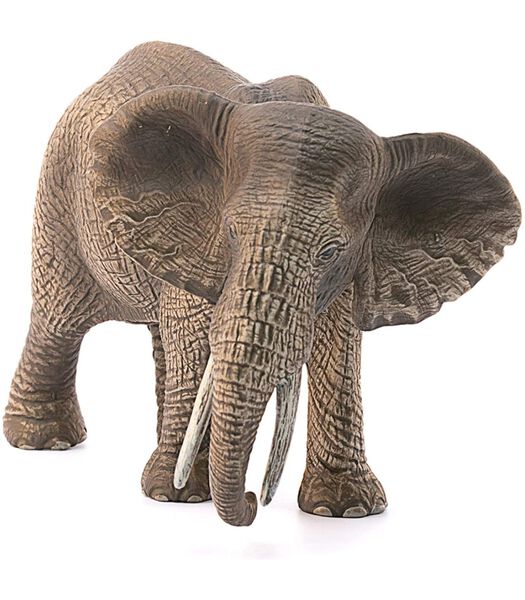 Safari - Éléphant d'Afrique, femelle 14761