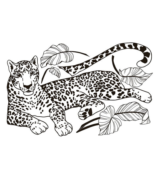 Stickers le léopard Black majik, Lilipinso