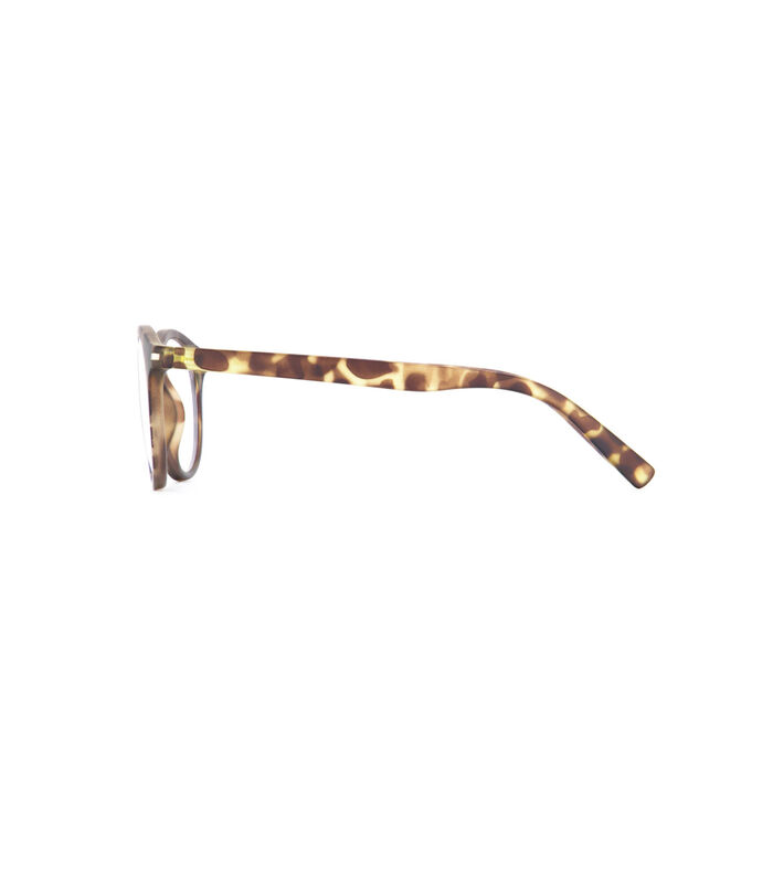 Zonnebril “SINNER Patnem Sunglasses” image number 4