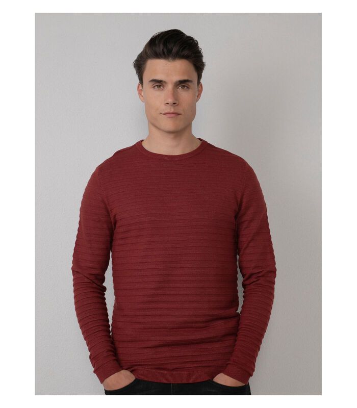 Petrol Trui Knitted Rib Bordeaux image number 2