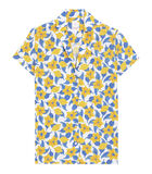 Capri blouse image number 0