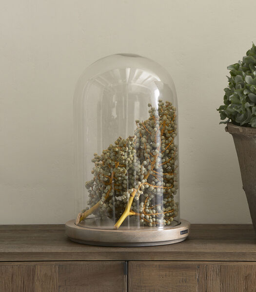 Cloche en verre décorative avec plateau en bois - Edinborough Classic
