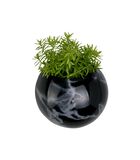 Muur plantenpot Globe - Marmerprint Zwart - Ø14,5x9,8cm image number 2