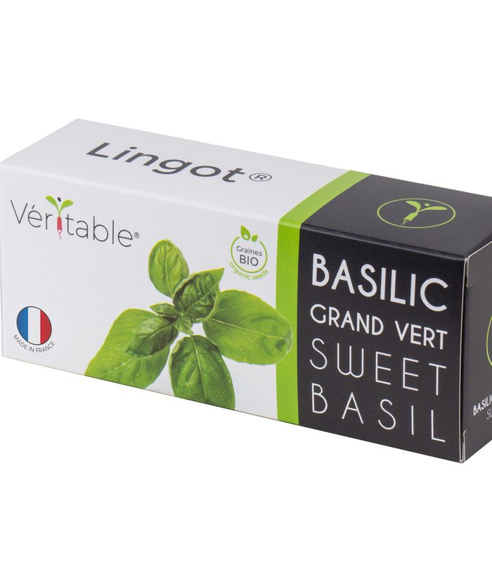 Lingot® Basilicum groot groen BIO - voor Moestuinen image number 0