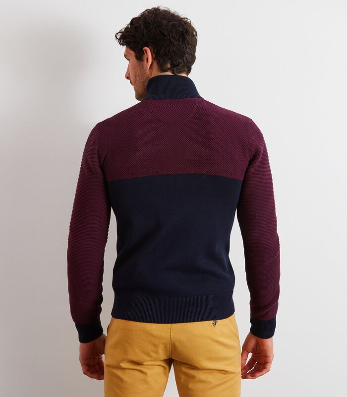 Cardigan en maille zippé bicolore bordeaux - image number 2