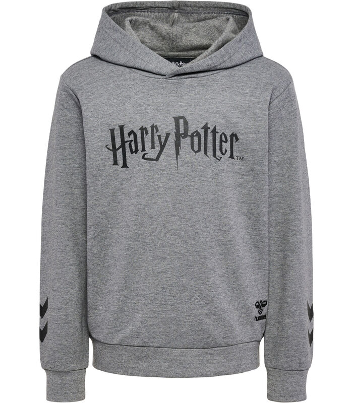 Sweatshirt à capuche enfant Harry Potter image number 0