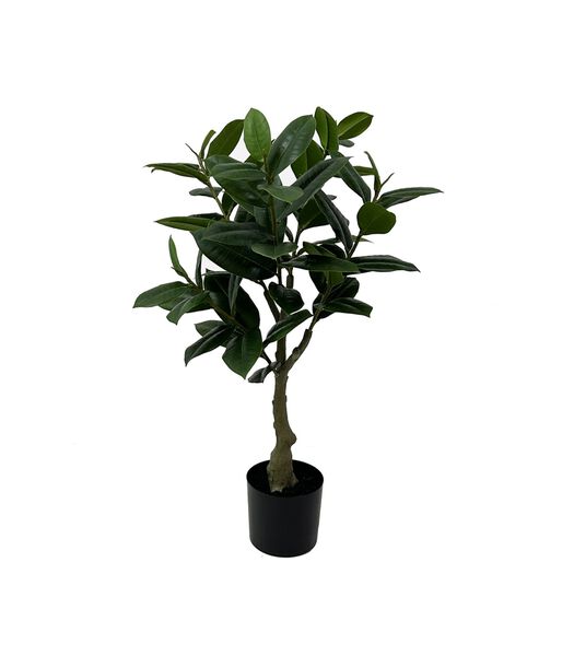 Kunstplant Rubber Tree - Groen - 48x48x69cm