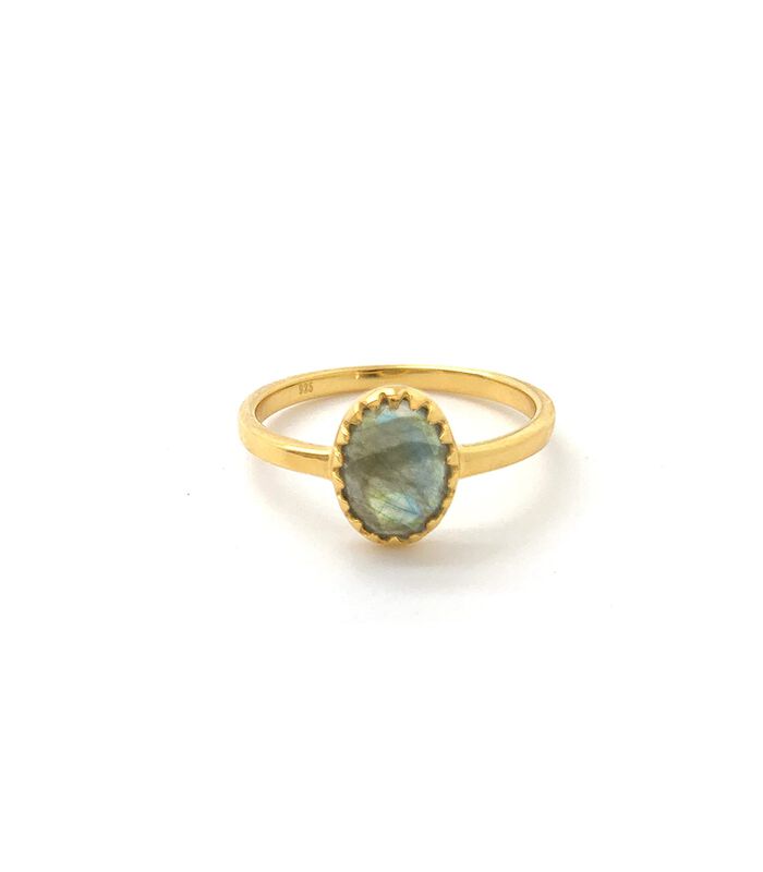 Labradoriet Royal Ray of Light Gold Ring image number 0