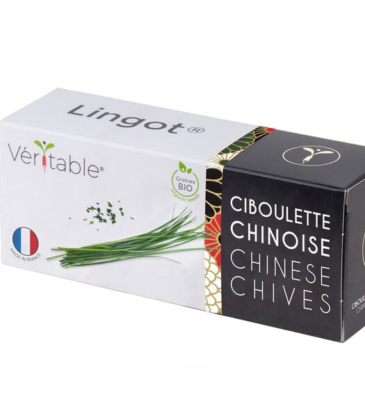 Lingot® Ciboulette chinoise BIO