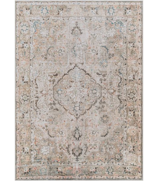 Tapis Lavable Vintage Oriental